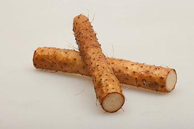 万代独立工作室新作《BOOMEROAD》Steam页面上线 暂不支持中文